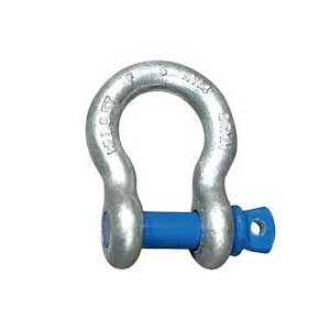 Blue Pin Standard